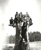 12.&nbsp;archiv [211]
