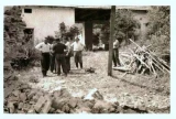 32.&nbsp;archiv [549]