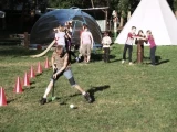 16.&nbsp;rok2011 [.300]